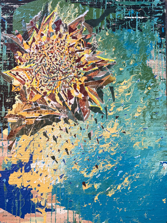 Helianthus annuus // 36 x 48